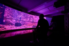 scenography & spatial strategies