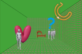 scenography & spatial strategies