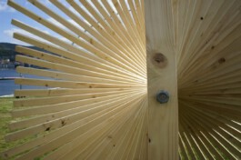 scenography & spatial strategies