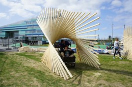 scenography & spatial strategies