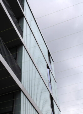 scenography & spatial strategies