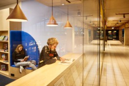 scenography & spatial strategies