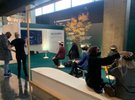 scenography & spatial strategies