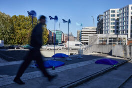 scenography & spatial strategies