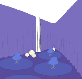 scenography & spatial strategies