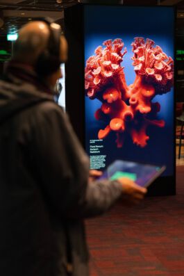 scenography & spatial strategies