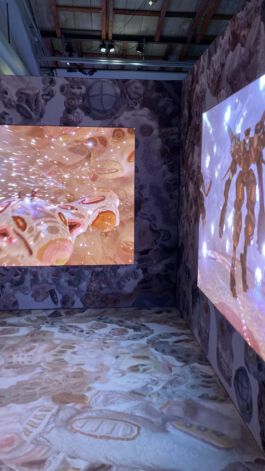 scenography & spatial strategies