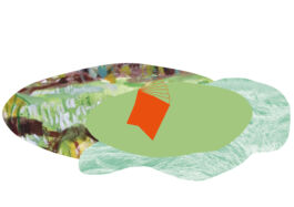 scenography & spatial strategies